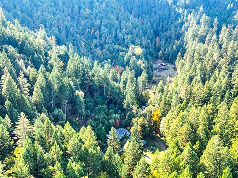 Discover a Multi-Family Paradise : Grants Pass : Josephine County : Oregon