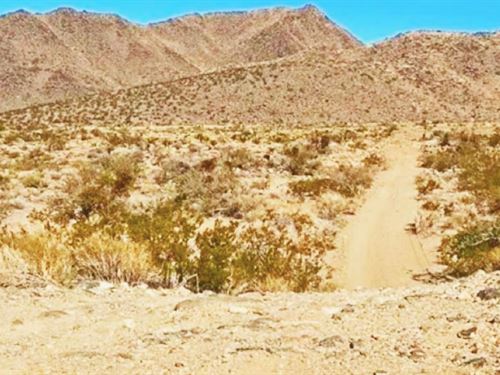 Primitive Camping or RV Adventures : Dolan Springs : Mohave County : Arizona