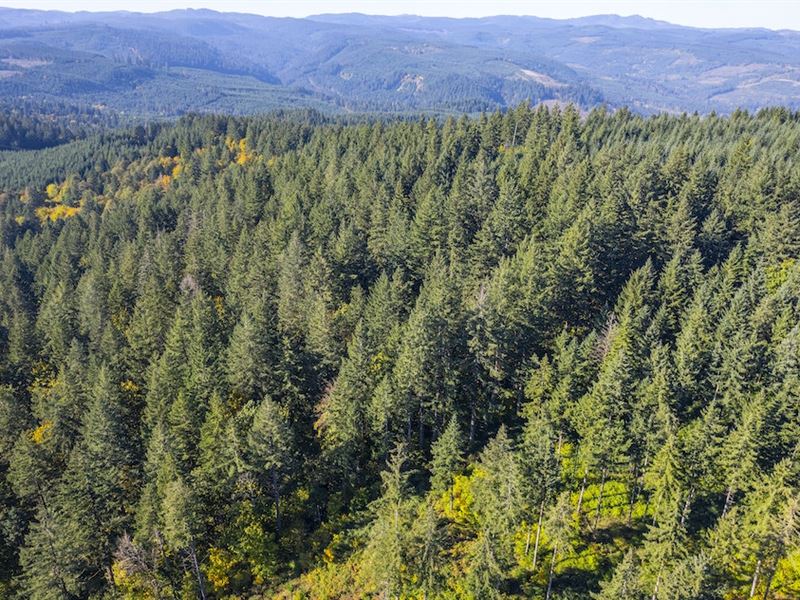 12610 NW Ford Rd : Gaston : Yamhill County : Oregon