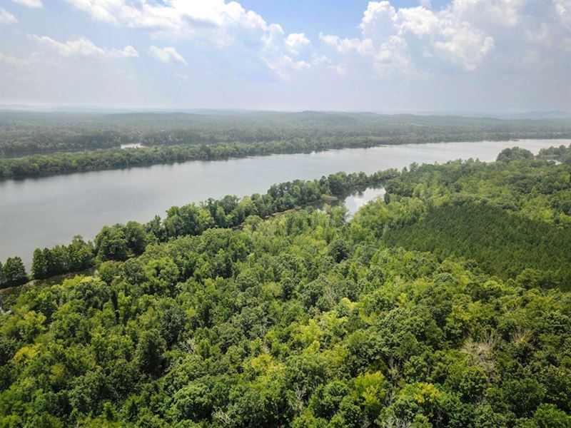 767.10 Acres in Dayton, Tennessee : Dayton : Rhea County : Tennessee