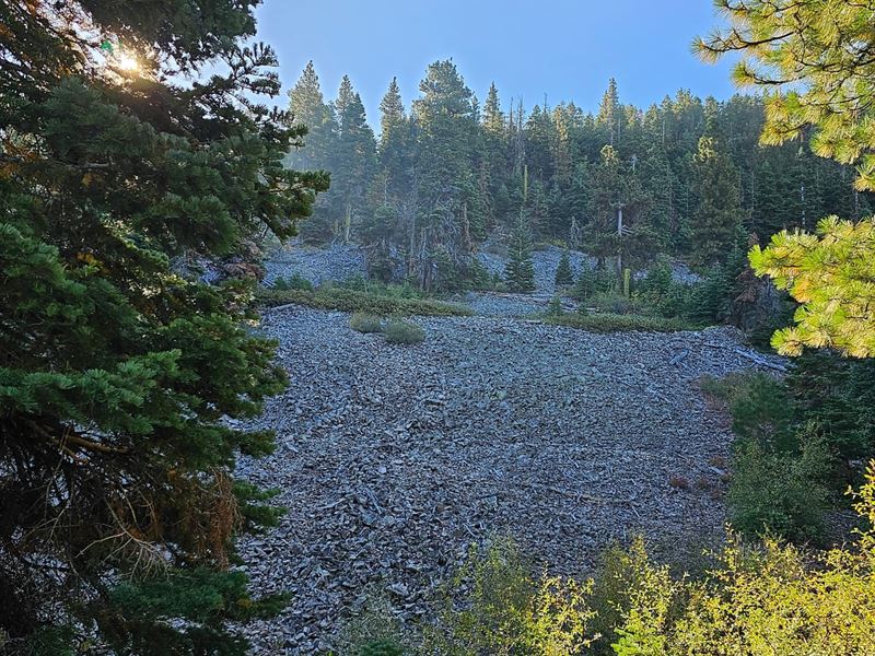 160 Acres Above Goose Lake Valley : Lakeview : Lake County : Oregon