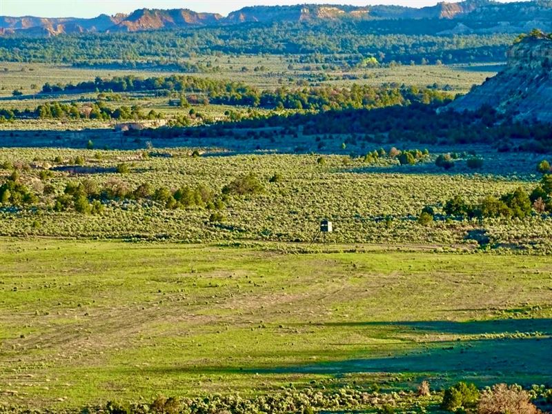 Largo Creek Ranch : Lindrith : Rio Arriba County : New Mexico