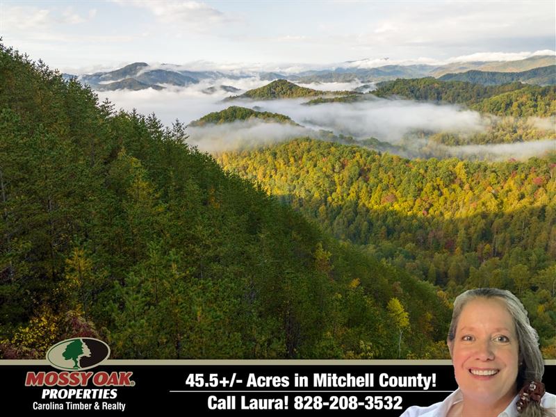 45.54 Acres of Glorious Mountai : Green Mountain : Mitchell County : North Carolina