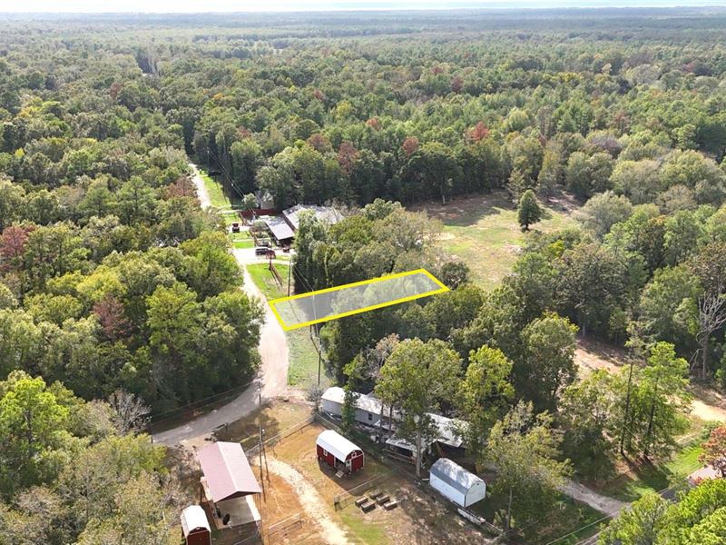 Rv, Mobile Lot Near Lake Livingston : Livingston : Polk County : Texas