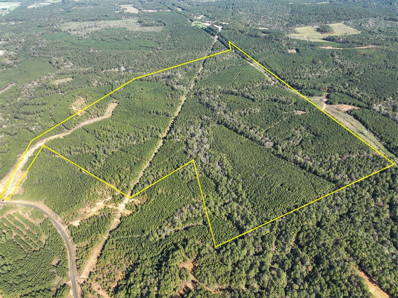 152 Acres, County Road 1060 T-2 : Center : Shelby County : Texas