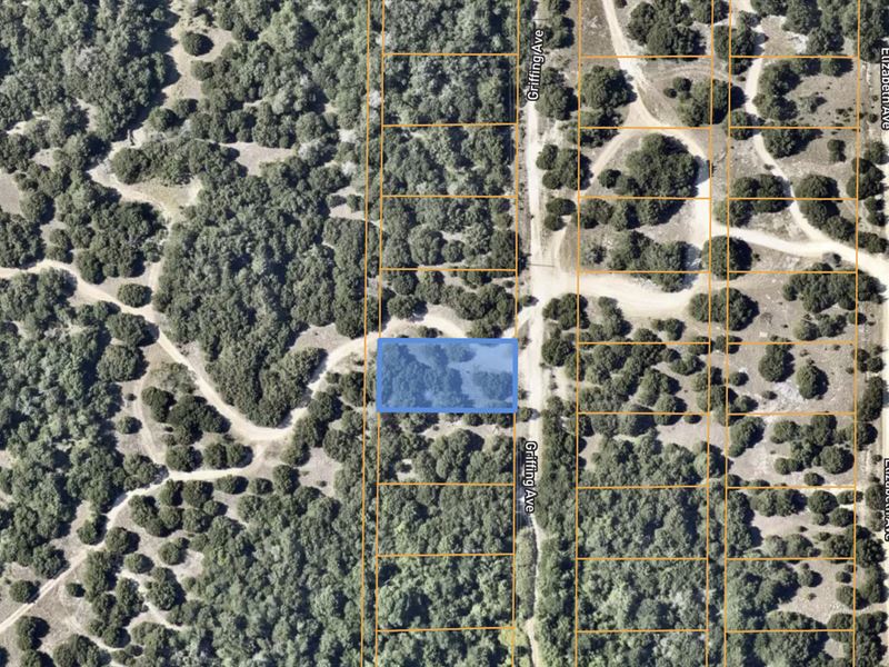 .25 Acre of Residential Bliss : Midlothian : Ellis County : Texas