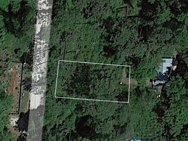.11 Ac Property in Wakulla Gardens : Crawfordville : Wakulla County : Florida