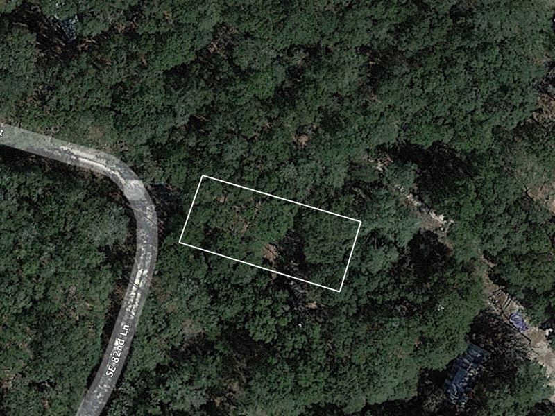 .22 Acre of Tranquility, Trenton : Trenton : Gilchrist County : Florida