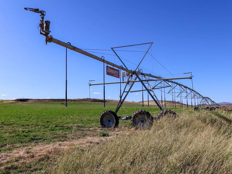 Ontario, Oregon Feed Lot : Ontario : Malheur County : Oregon