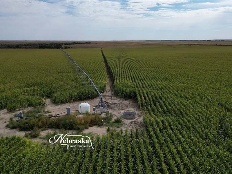 Southern Perkins County Farm : Grant : Perkins County : Nebraska