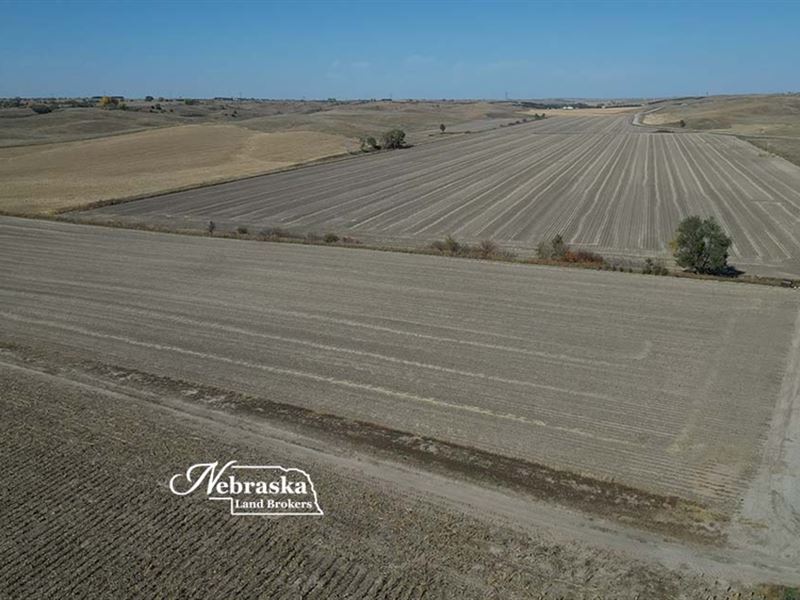 Gothenburg Combination Farm : Gothenburg : Custer County : Nebraska