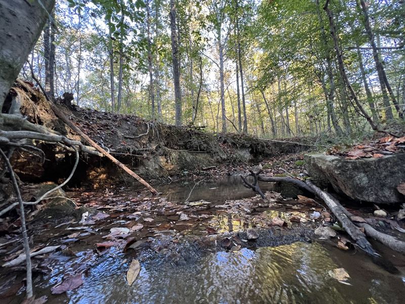 16.46 Ac, Camp Hill : Camp Hill : Tallapoosa County : Alabama