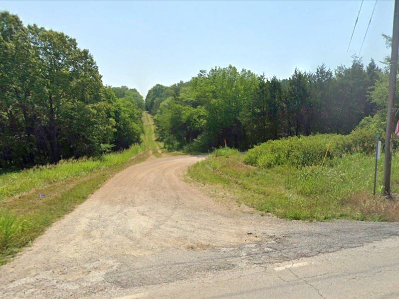 Beautiful Wooded Area Near Lake : Diamond City : Boone County : Arkansas