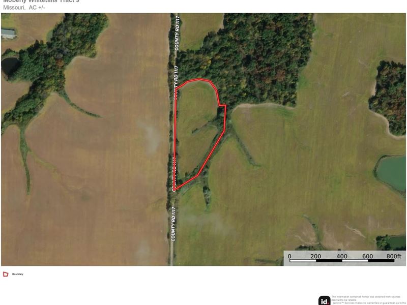 Moberly Whitetails Tract 9 : Madison : Monroe County : Missouri