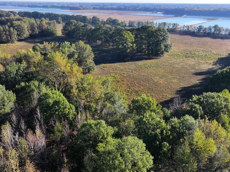 Beautiful 79.65 Acre Farm Near Ward : Ward : Lonoke County : Arkansas