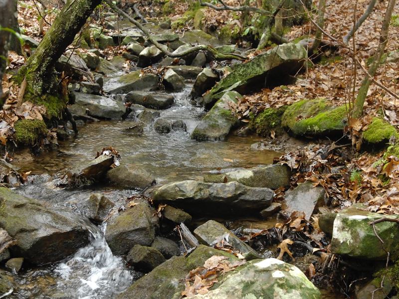 75 Acres Adjoins State Forest : South Pittsburg : Marion County : Tennessee