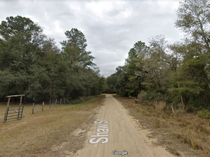 Rural Bliss, Urban Access, $186/Mo : Interlachen : Putnam County : Florida