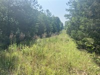 Terry Shop Road Estate : Fountain Inn : Greenville County : South Carolina