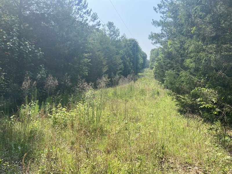 Terry Shop Road Estate : Fountain Inn : Greenville County : South Carolina