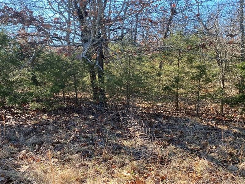 Peaceful Spot with Off-Grid Living : Horseshoe Bend : Izard County : Arkansas