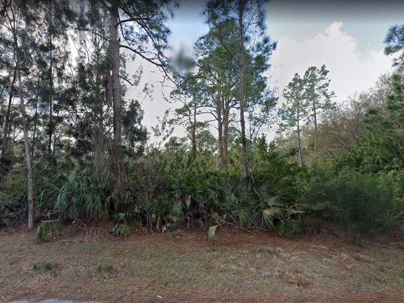 Flash Sale, $250 Down Payment : Punta Gorda : Charlotte County : Florida