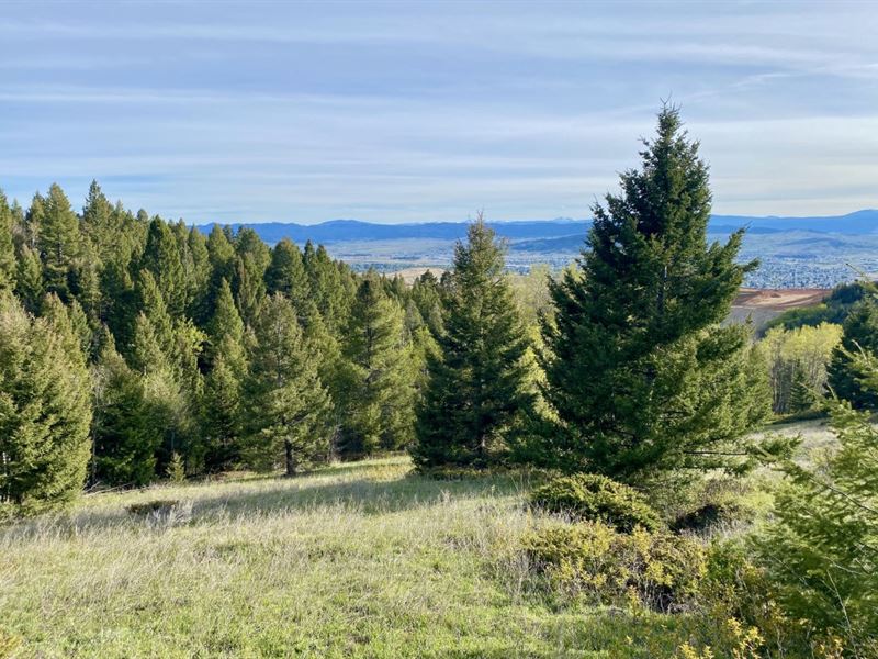 Cold Spring Build Site : Butte : Silver Bow County : Montana