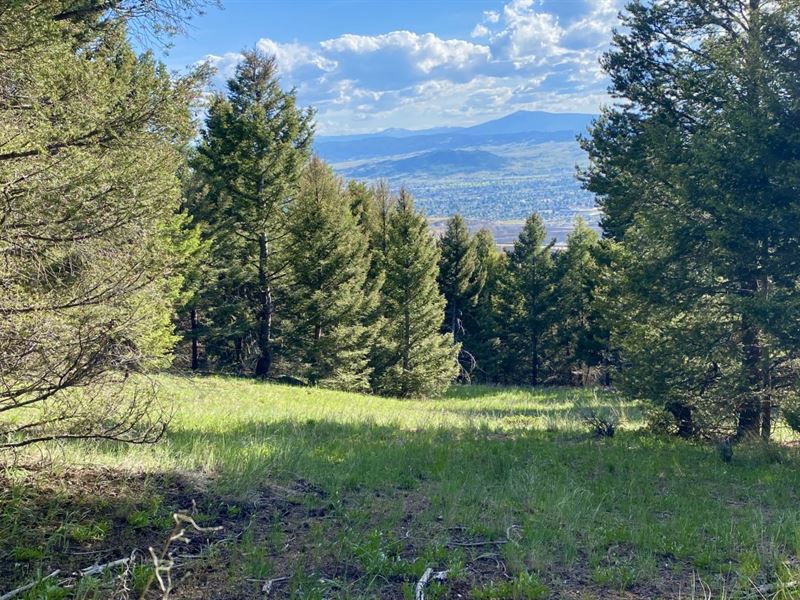 Honolulu Lode Build Site : Butte : Silver Bow County : Montana