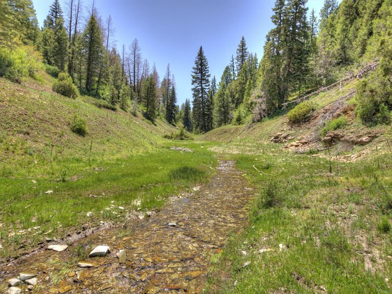 Timber Valley Ranch Tract 1 : Rifle : Garfield County : Colorado