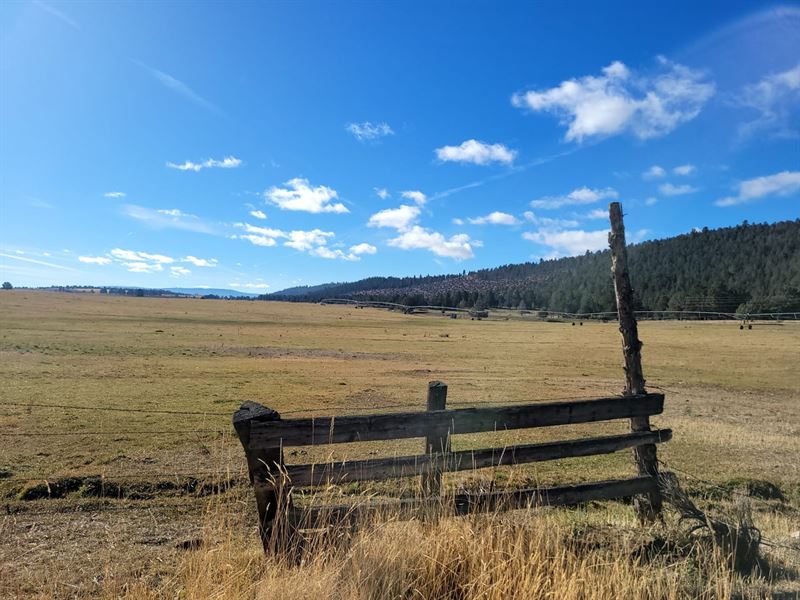 150 Acres of Ranchland Dream : Lakeview : Lake County : Oregon