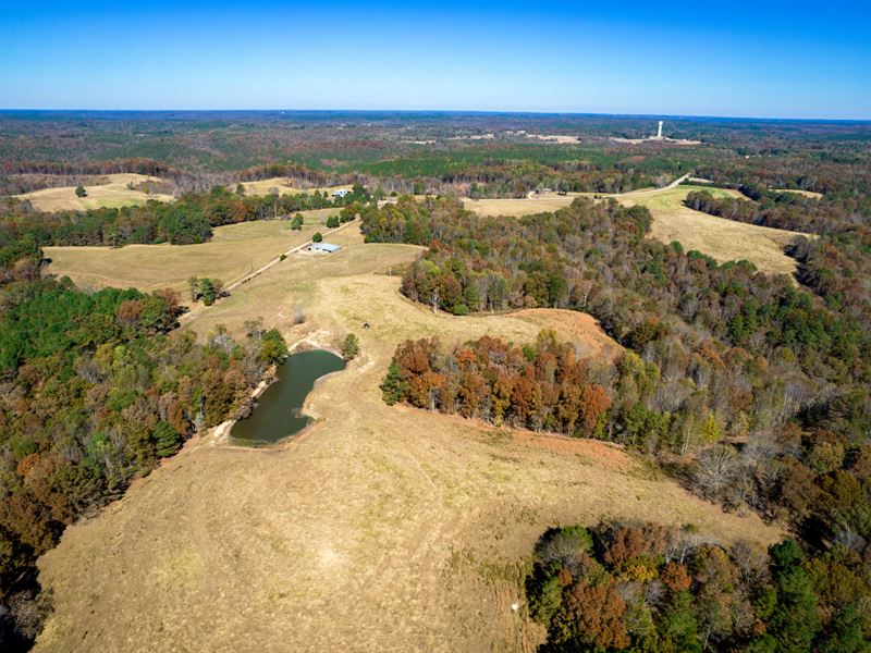 Scott Family Farm, 505 : Hodges : Franklin County : Alabama