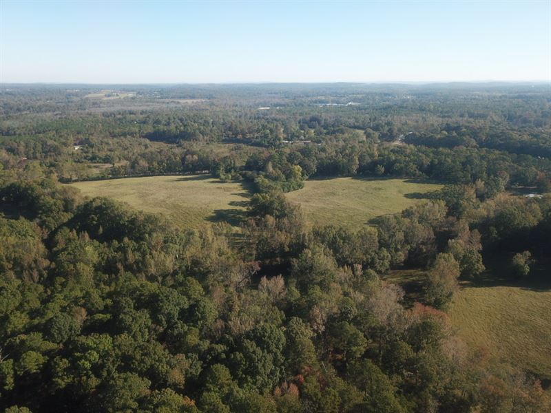 72 Acres Pasture & Timber : Clanton : Chilton County : Alabama