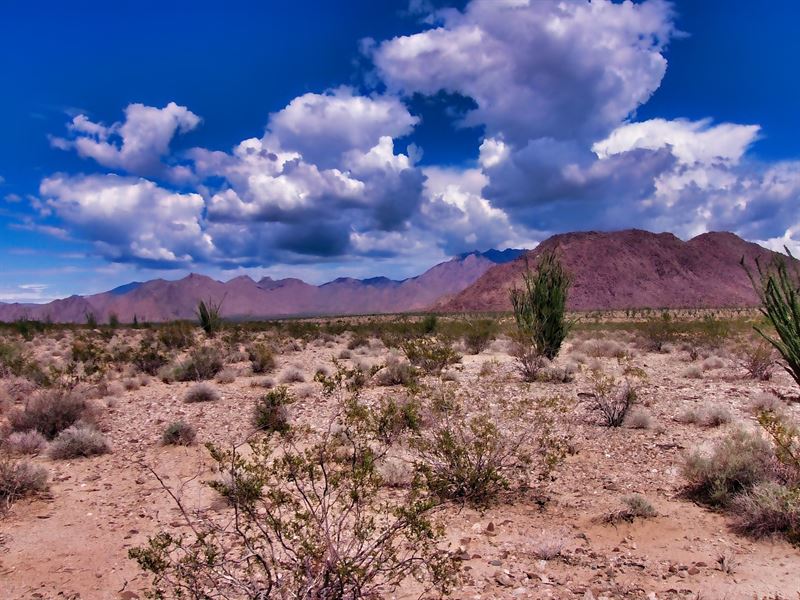 Explore The Great Outdoors : Golden Valley : Mohave County : Arizona