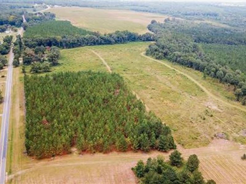 42 Ac Timber / Recreational Tract : Eastman : Dodge County : Georgia