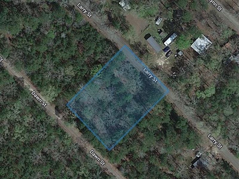 .64 Acre in Angelina County, TX : Zavalla : Angelina County : Texas