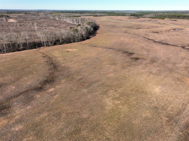 Whitaker Tract : Collinwood : Wayne County : Tennessee