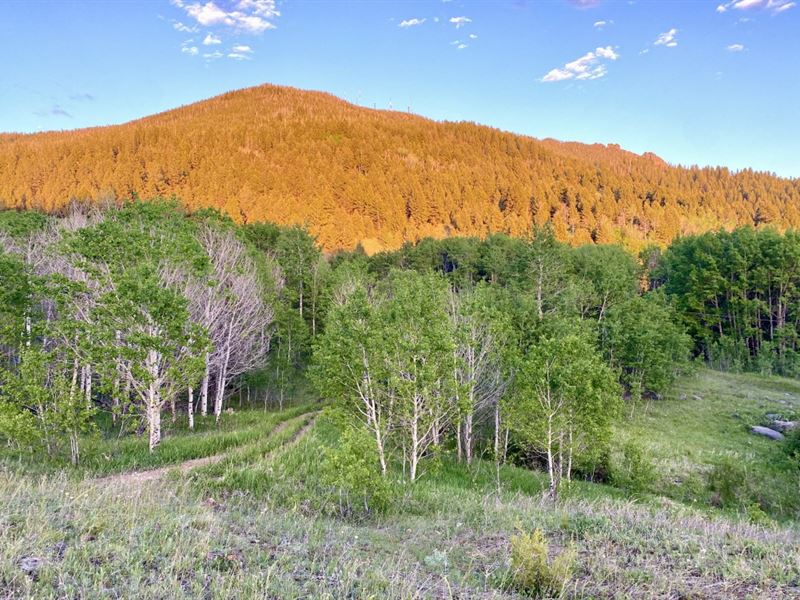 Brookside Build Site : Butte : Silver Bow County : Montana