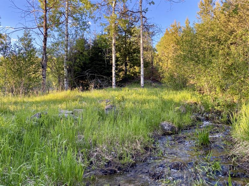 Cleveland Build Site : Butte : Silver Bow County : Montana