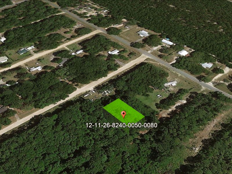 Attention Savvy Investors : Satsuma : Putnam County : Florida