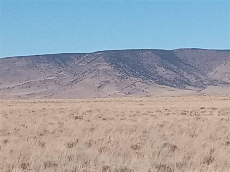 5 Acres of Pure Freedom Await You : San Luis : Costilla County : Colorado
