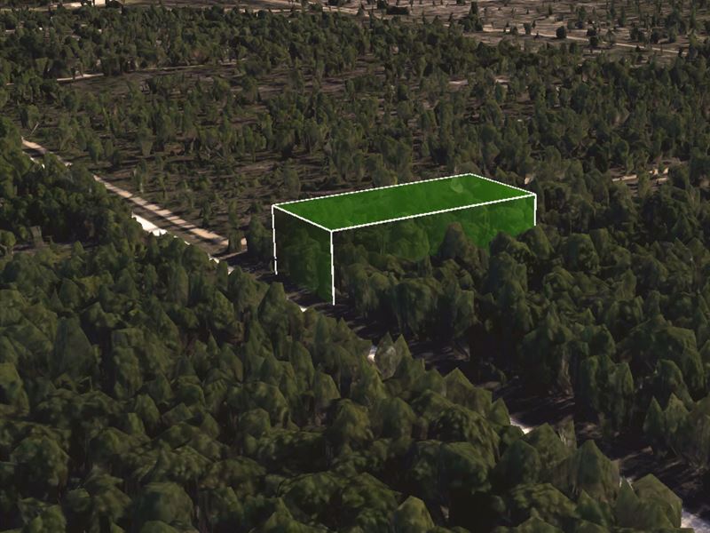 16478 Jenifer Ln .57 Acre Wood Lot : Weeki Wachee : Hernando County : Florida