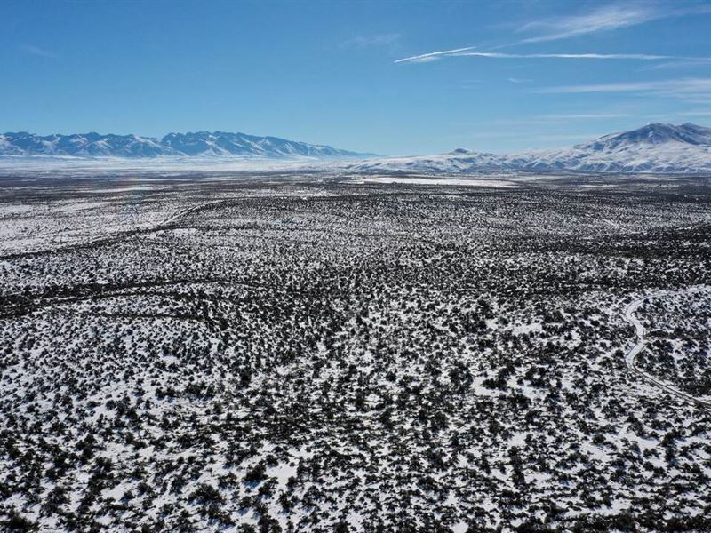 Land for Sale, Live Wildly : Elko : Elko County : Nevada
