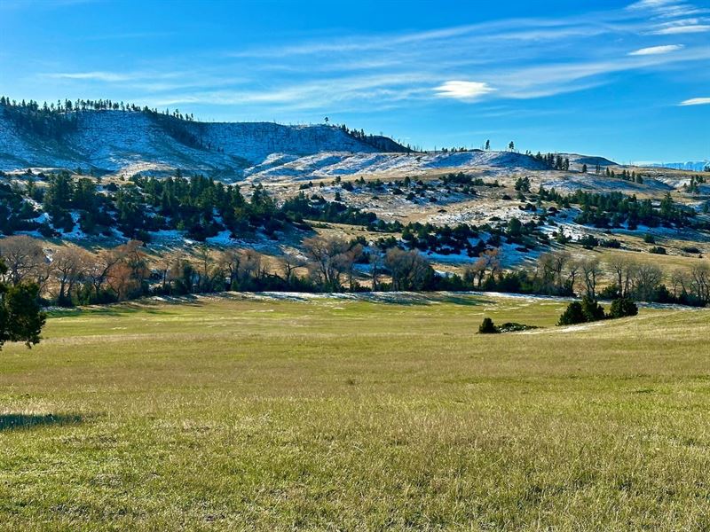 Dynamic Deadman's Canyon : Reed Point : Stillwater County : Montana