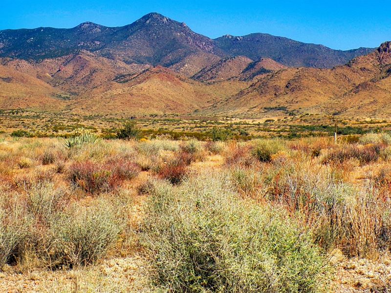Peaceful Escape in Mohave County : Golden Valley : Mohave County : Arizona