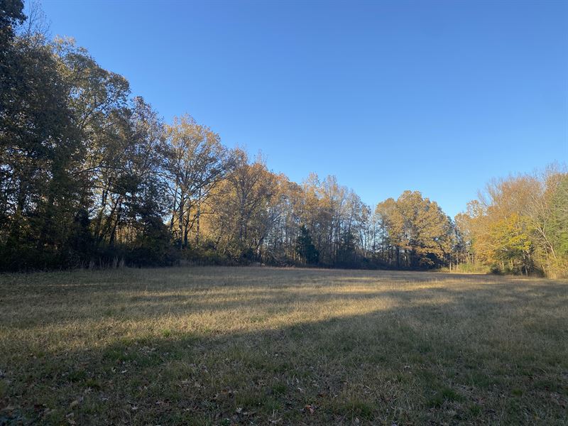 17 Acres Of Land for Sale in TN : Sardis : Hardin County : Tennessee