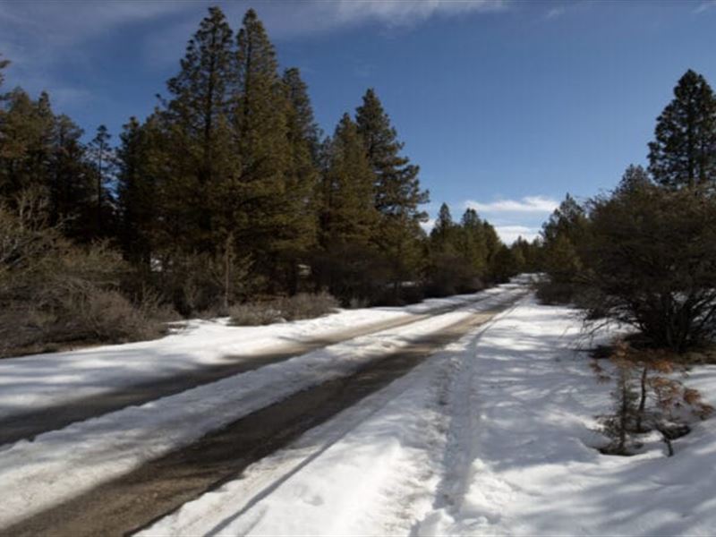Off The Grid and Ready to Camp : Beatty : Klamath County : Oregon