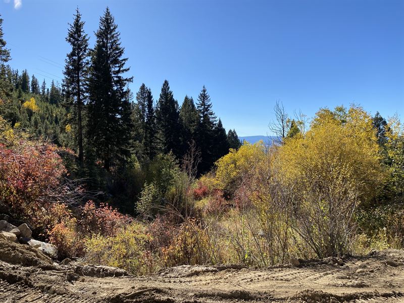 John Anna Build Site : Butte : Silver Bow County : Montana