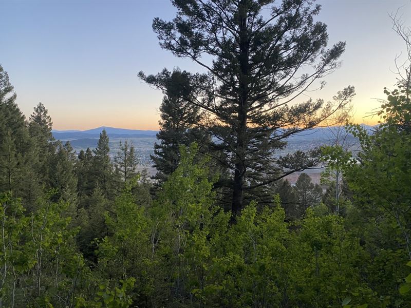 State of Maine Build Site : Butte : Silver Bow County : Montana