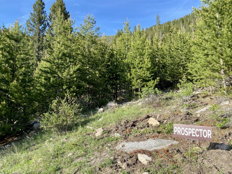 Prospector Build Site : Butte : Silver Bow County : Montana