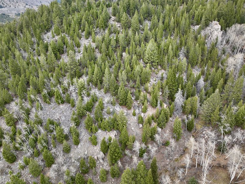 Par Build Site : Butte : Silver Bow County : Montana