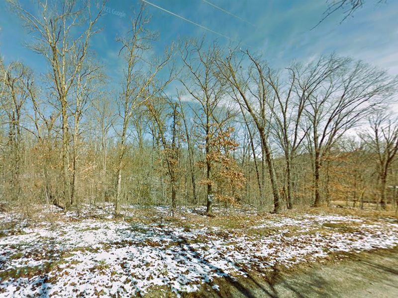 Idyllic 0.27 Acre Haven : Bella Vista : Benton County : Arkansas